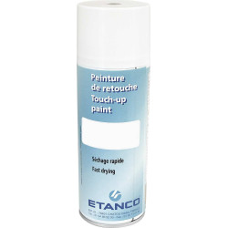 PEINTURE RETOUCHE RAL 7006 LAUZE (aerosol 400ml)
