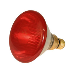 LAMPE À ÉCONOMIE D'ÉNERGIE PAR38 175W, TRANSPARENTE