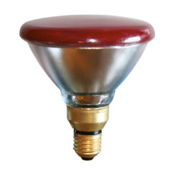 LAMPE À ÉCONOMIE D'ÉNERGIE PAR38 175W, TRANSPARENTE