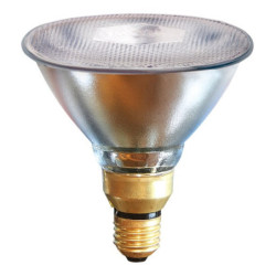 LAMPE À ÉCONOMIE D'ÉNERGIE PAR38 175W, TRANSPARENTE