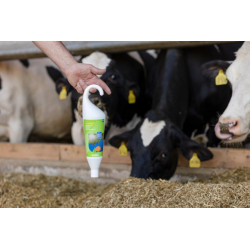 SOIN POUR PIS CAREMINT 1000 ML