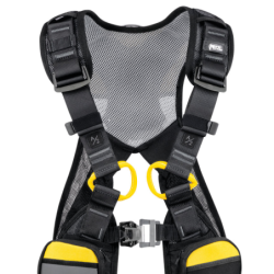 Harnais Newton Easyfit Europe