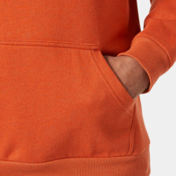 FS Sweat à capuche Classic logo coton polyester 280g Dark orange