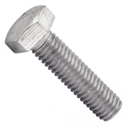 VIS T.H. INOX D.6 X 70