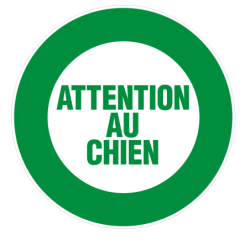 DISQUE 300 mm ATTENTION AU CHIEN