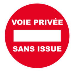 DISQUE 300 mm VOIE PRIVEE SANS ISSUE
