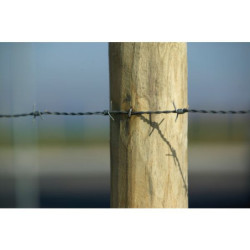 RONCE ARTIFICIELLE GALVANISE (BOBINE250m)
