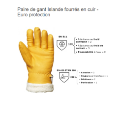 Gant froid Islande cuir fleur fourré acrylique 2122X - 220