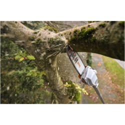 Perche élagueuse sur batterie HTA 160 1/4'P 30cm 71PM3 Sans batterie ni chargeur