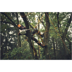 Tronçonneuse sur batterie MSA 190 T Light 01 35cm. 71PM3 Sans batterie ni chargeur