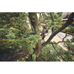 Tronçonneuse sur batterie MSA 220 T Guide 35cm Sans batterie ni chargeur Stihl