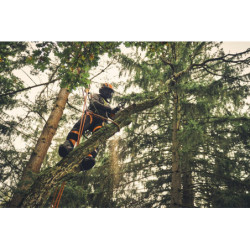 Tronçonneuse sur batterie MSA 220 T Guide 35cm Sans batterie ni chargeur Stihl