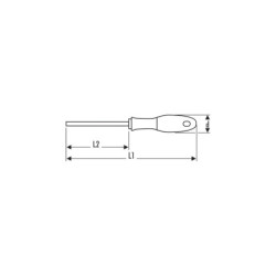 TOURNEVIS POZIDRIV PZ1x100mm EXPERT