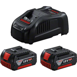 Pack de 2 batteries 18V 5.0 Ah + chargeur GAL 1880CV