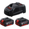 Pack de 2 batteries 18V 5.0 Ah + chargeur GAL 1880CV