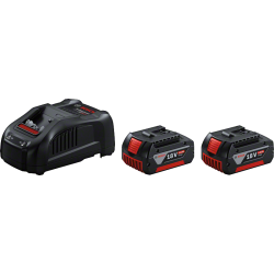 Pack de 2 batteries 18V 5.0 Ah + chargeur GAL 1880CV