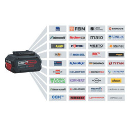 Pack de 2 batteries 18V 5.0 Ah + chargeur GAL 1880CV