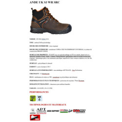 Chaussure haute Ande UK S7S FO SR Marron