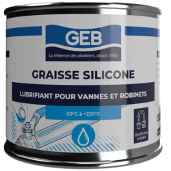 GRAISSE SILICONE BTE 330 G