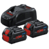 Pack 2 batteries 18V 5.5 Ah Procore + Chargeur GAL 1880