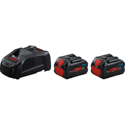Pack 2 batteries 18V 5.5 Ah Procore + Chargeur GAL 1880