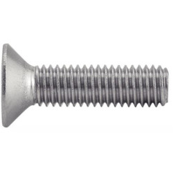 VIS T.F.H.C INOX 6X30