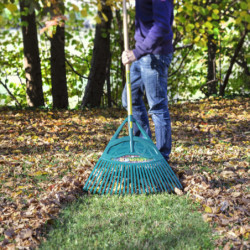 BALAI A GAZON POLYMERE XL avec manche