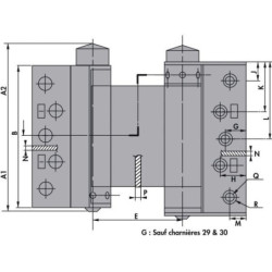 CHARNIERES DOUBLE ACTION 30 LX COMPACTE ACIER ARGENT (LA PAIRE)