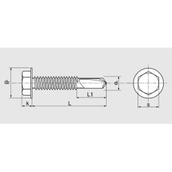 VIS AUTOFOREUSE TH FORET LONG ZN 5,5X60