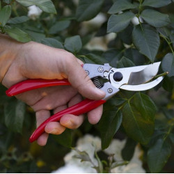 SECATEUR ARSVS-9XZ, S, 25 mm rouge/gris